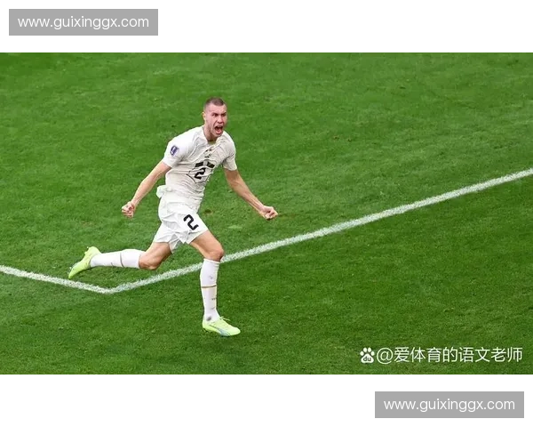 塞尔维亚世界杯精彩表现引发全球球迷热烈关注